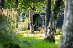 Reflectit | B&B vol Business | KampinaStaete