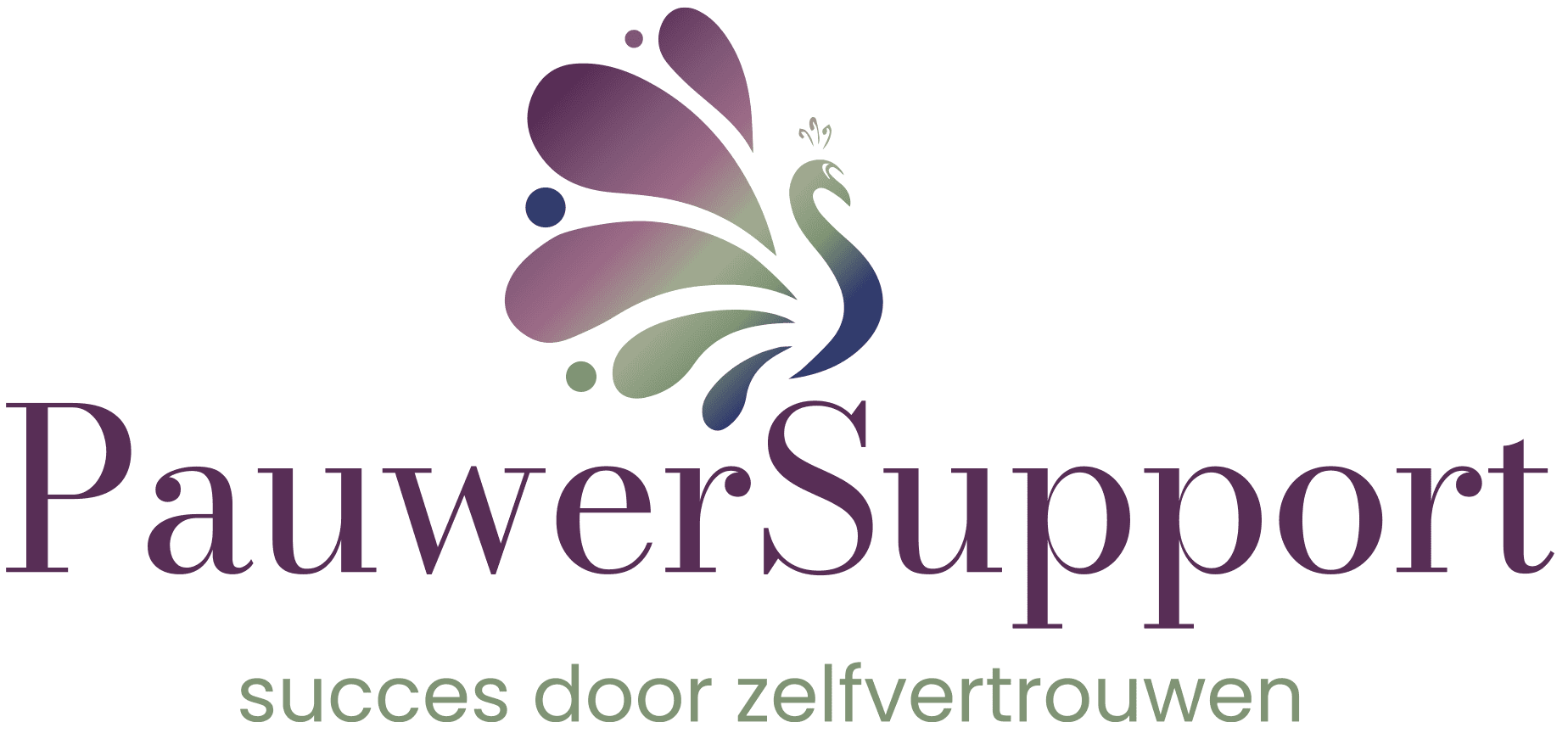 PauwerSupport | klant Reflectit