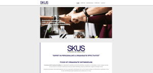 SKUS | spiegelbeeld oud