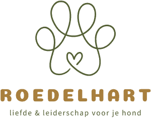 Logo Roedelhart | klant Reflectit